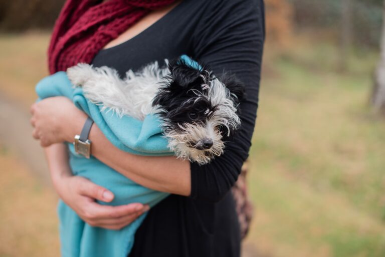 ‘My ex weighed my toothpaste, so I let him have the dog…’